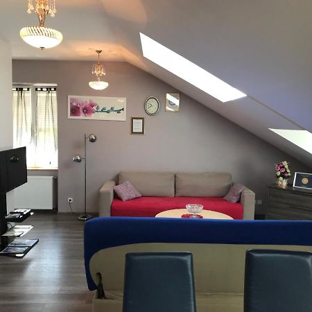 Rochire Location 1 Daire Gérardmer Dış mekan fotoğraf