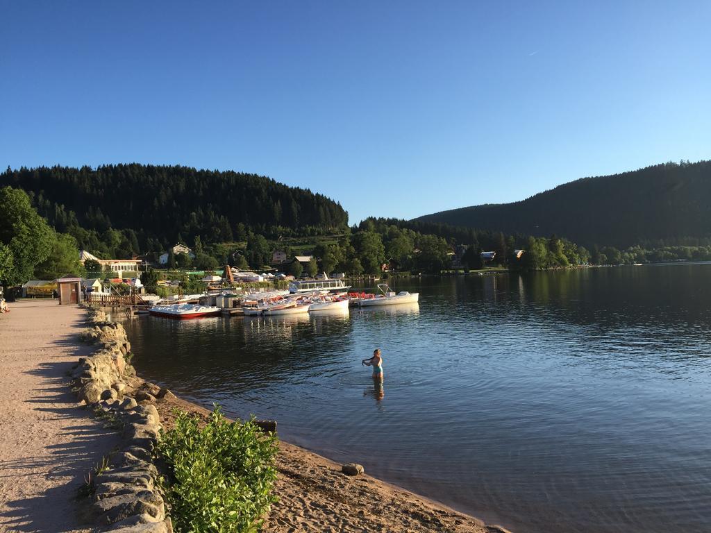 Rochire Location 1 Daire Gérardmer Oda fotoğraf